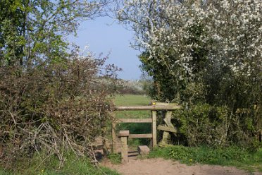 Hatton Rolleston Circular Walk by David Cowper Hatton Rolleston Circular Walk: © 2021 David Cowper