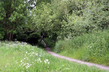 JF_these steps 4 2nd June 2022: Rugeley Town: © Jenny France: