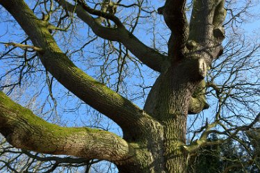 MR_DSG_1685_711 Wolseley Centre March: © 2022 Martin Robinson