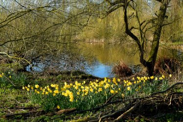 MR_DSG_1687_713 Wolseley Centre March: © 2022 Martin Robinson