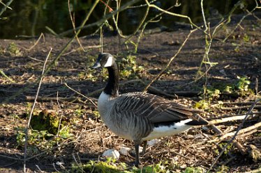 MR_DSG_1707_716 Wolseley Centre March: © 2022 Martin Robinson