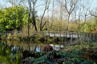 MR_DSG_1729_723 Wolseley Centre March: © 2022 Martin Robinson