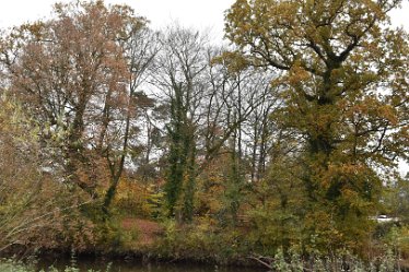 JC-DSC_a0657 November 2021: SWT Wolseley Bridge: © 2021 by Julie Clark