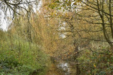 JC-DSC_a0708 November 2021: SWT Wolseley Bridge: © 2021 by Julie Clark