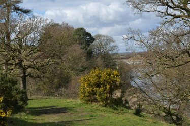 MR_DSG_1406_399 Swarkstone Causeway, Ingleby - Anchor Church Circular walk: 6th March: © 2022 Martin Robinson