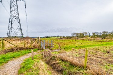 F24_2555r1 29th February 2024: Tucklesholme late winter walk: Hide at the south eastern corner: © Paul L.G. Morris