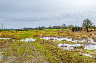 F24_2564r1 29th February 2024: Tucklesholme late winter walk: Leading to the pill box: © Paul L.G. Morris