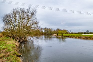 F24_2606r1 29th February 2024: Tucklesholme late winter walk: View by the River Trent: © Paul L.G. Morris