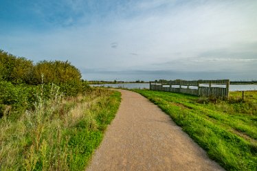 F23_4243r1 4th October 2023: Tucklesholme October walk: Walk up the west side of the lake: © 2023 Paul L.G. Morris