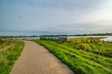 F23_4246r1 4th October 2023: Tucklesholme October walk: Walk up the west side of the lake: © 2023 Paul L.G. Morris