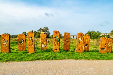 F23_4264r1 4th October 2023: Tucklesholme October walk: Walk up the west side of the lake: Sculptures in wood: © 2023 Paul L.G. Morris