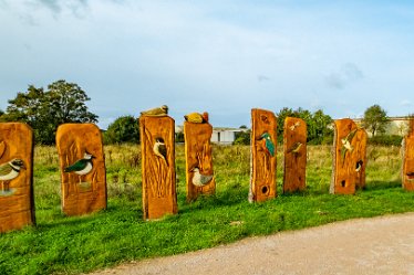 F23_4270r1 4th October 2023: Tucklesholme October walk: Walk up the west side of the lake: Sculptures in wood: © 2023 Paul L.G. Morris