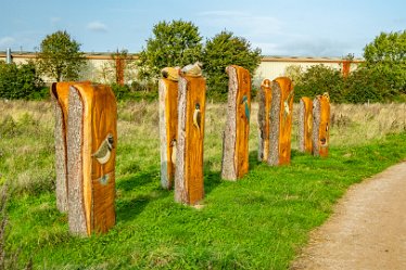 F23_4273r1 4th October 2023: Tucklesholme October walk: Walk up the west side of the lake: Sculptures in wood: © 2023 Paul L.G. Morris