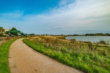 F23_4276r1 4th October 2023: Tucklesholme October walk: Walk up the west side of the lake: © 2023 Paul L.G. Morris