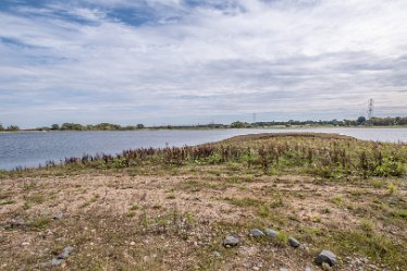 F20B7470r1 2nd September 2020: Tucklesholme Tour 1: © 2020-2021 Paul L.G. Morris: View from the 2nd hide