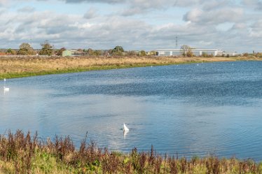 L20_8741r1x3j1 22nd October 2020: Tucklesholme Tour 1: © 2020-2021 Paul L.G. Morris: Panoramic view with waterfowl - swans