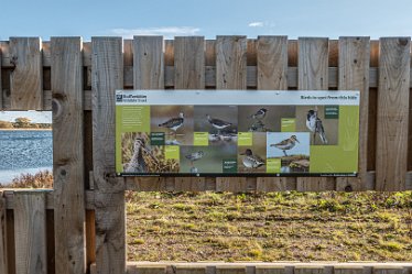 L20_8766r1 22nd October 2020: Tucklesholme Tour 1: © 2020-2021 Paul L.G. Morris: At the 2nd hide