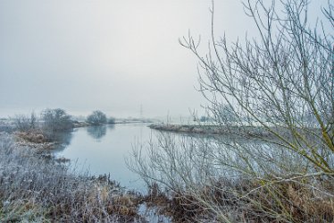 Steve_C_DSC_9870j1 Winter At Tuckelsholme Nature Reserve: January 2021: © Steven Cheshire