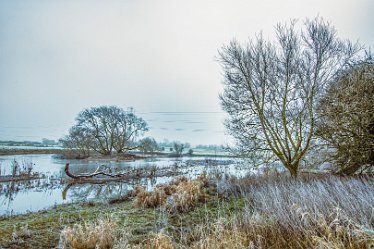 Steve_C_DSC_9876j1 Winter At Tuckelsholme Nature Reserve: January 2021: © Steven Cheshire