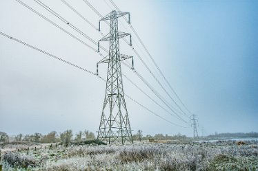 Steve_C_DSC_9880j1 Winter At Tuckelsholme Nature Reserve: January 2021: © Steven Cheshire