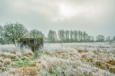 Steve_C_DSC_9883j1 Winter At Tuckelsholme Nature Reserve: January 2021: © Steven Cheshire