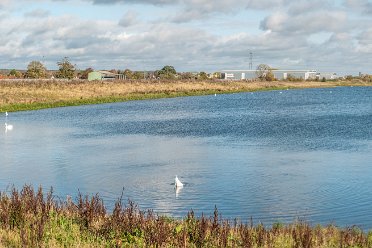 Tucklesholme by Paul L.G. Morris Tuckelsholme Nature Reserve: © 2020-2021 Paul L.G. Morris: Most of these images were taken for the Virtual Tour