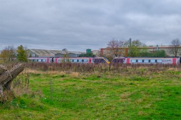 F21_8527r1 23rd November 2021: A walk through Tucklesholme Nature Reserve towards Branston: © 2020-2021 by Paul L.G. Morris.