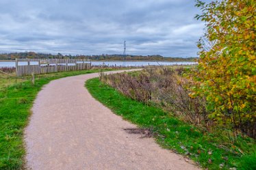 F21_8535r1 23rd November 2021: A walk through Tucklesholme Nature Reserve towards Branston: © 2020-2021 by Paul L.G. Morris.