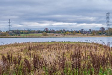 F21_8538r1 23rd November 2021: A walk through Tucklesholme Nature Reserve towards Branston: © 2020-2021 by Paul L.G. Morris.