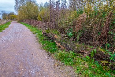 F21_8544r1 23rd November 2021: A walk through Tucklesholme Nature Reserve towards Branston: © 2020-2021 by Paul L.G. Morris.