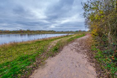 F21_8550r1 23rd November 2021: A walk through Tucklesholme Nature Reserve towards Branston: © 2020-2021 by Paul L.G. Morris.