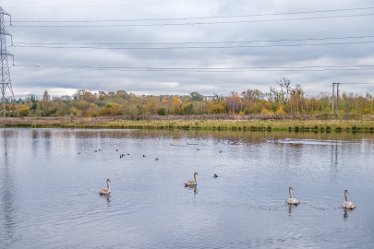 F21_8574r1 23rd November 2021: A walk through Tucklesholme Nature Reserve towards Branston: © 2020-2021 by Paul L.G. Morris.