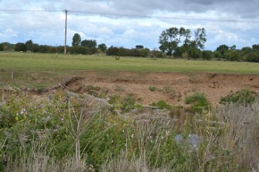 MR_DSH_2599_3387 Gravel rich soil Tutbury and the River Dove: 18.09.2022: © 2022 Martin Robinson: Gravel rich soil