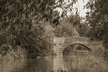 DC_aIMG_1999 4th August 2021: Willington Canal: © David Cowper 2021