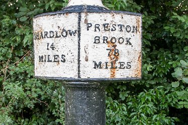 DC_aIMG_2006 4th August 2021: Willington Canal: © David Cowper 2021