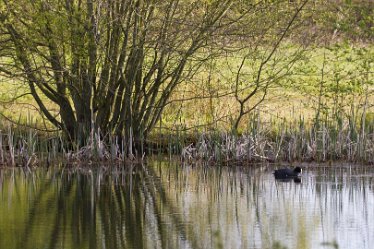 DC_aIMG_2207 26th April 2021: Willington Canal: © David Cowper 2021