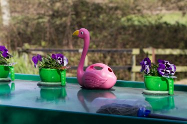 DC_aIMG_2256 26th April 2021: Willington Canal: © David Cowper 2021