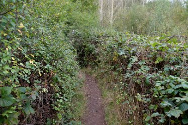 MR_DSF_8278_01 10th October 2021: Willington Circular Route: © 2021 Martin Robinson