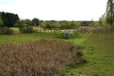 MR_DSF_8292_01 10th October 2021: Willington Circular Route: © 2021 Martin Robinson