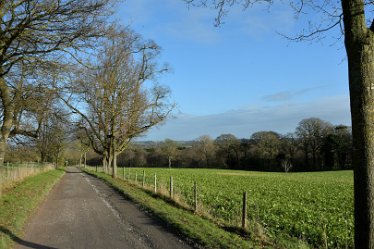 MR_DSG_0449_531 Wolseley Bridge to Etchinghill Circular walk: 9th January: © 2022 Martin Robinson