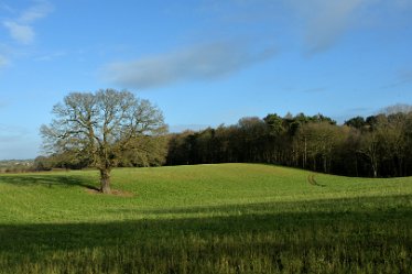 MR_DSG_0454_533 Wolseley Bridge to Etchinghill Circular walk: 9th January: © 2022 Martin Robinson