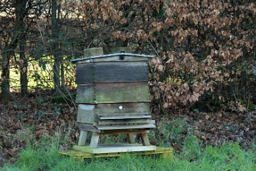 MR_DSG_0483_559 Wolseley Bridge to Etchinghill Circular walk: 9th January: © 2022 Martin Robinson