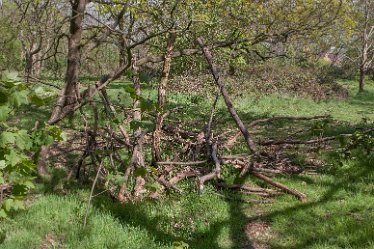 DC-aIMG_9891 4th May 2021: Beans Covert : © 2021 by David Cowper