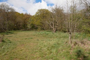 DC-aIMG_9894 4th May 2021: Beans Covert : © 2021 by David Cowper