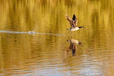 Branston Water Park Branston Water Park to 2021