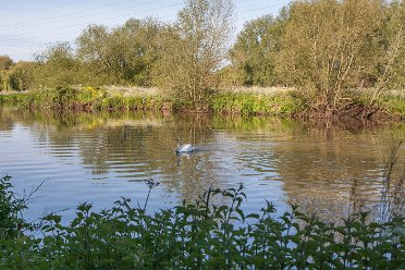 Brizlincote Nature Reserve Brizlincote Nature Reserve