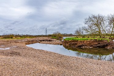 Tucklesholme 2024 Tucklesholme Nature Reserve 2024