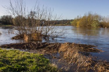 DC-aIMG_0913 2nd December 2021: Trent Valley Way (Newton Solney): © 2021 by David Cowper