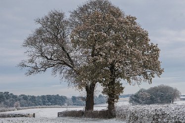 DC-aIMG_3718 29th November 2021: Trent Valley Way: © 2021 by David Cowper