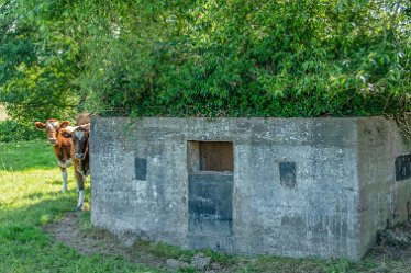 DSF_e July 2021: Confluence of the Dove and Churnet: © 2020-2021 Martin Robinson: Pill Box